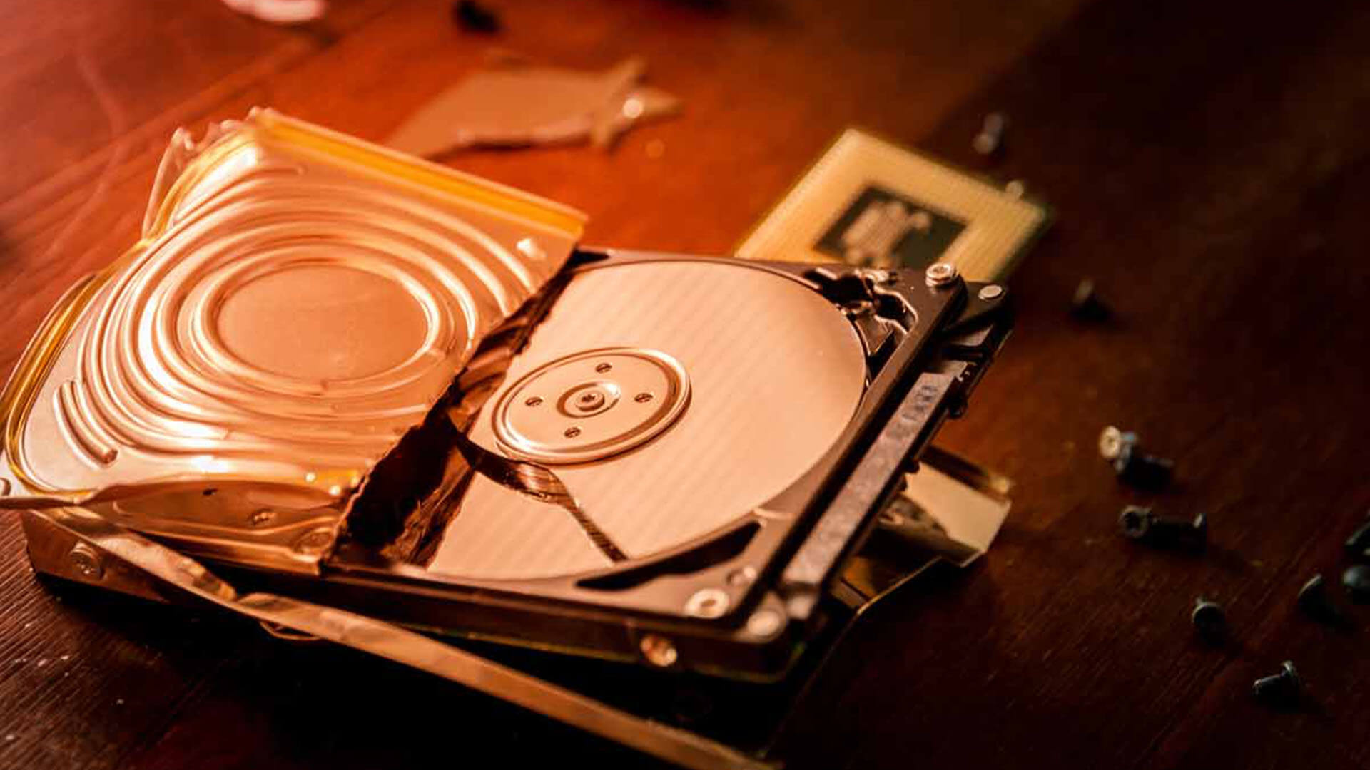 Featured image for “Contrary to popular belief, what you put on the internet is not forever.”